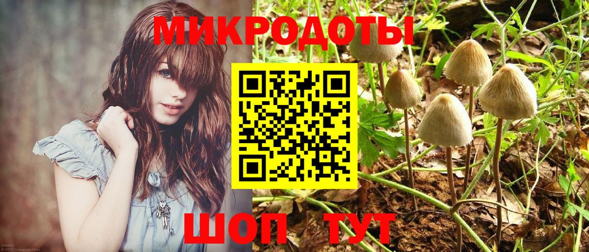 Псилоцибиновые грибы Cubensis Донской