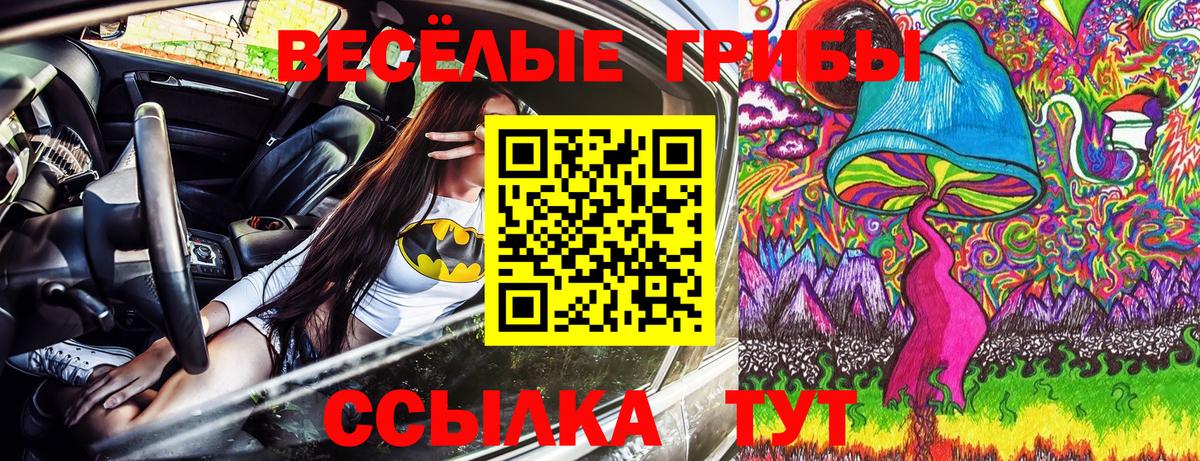 дарнет шоп  Вход с VPN  Донской  Галлюциногенные грибы GOLDEN TEACHER 